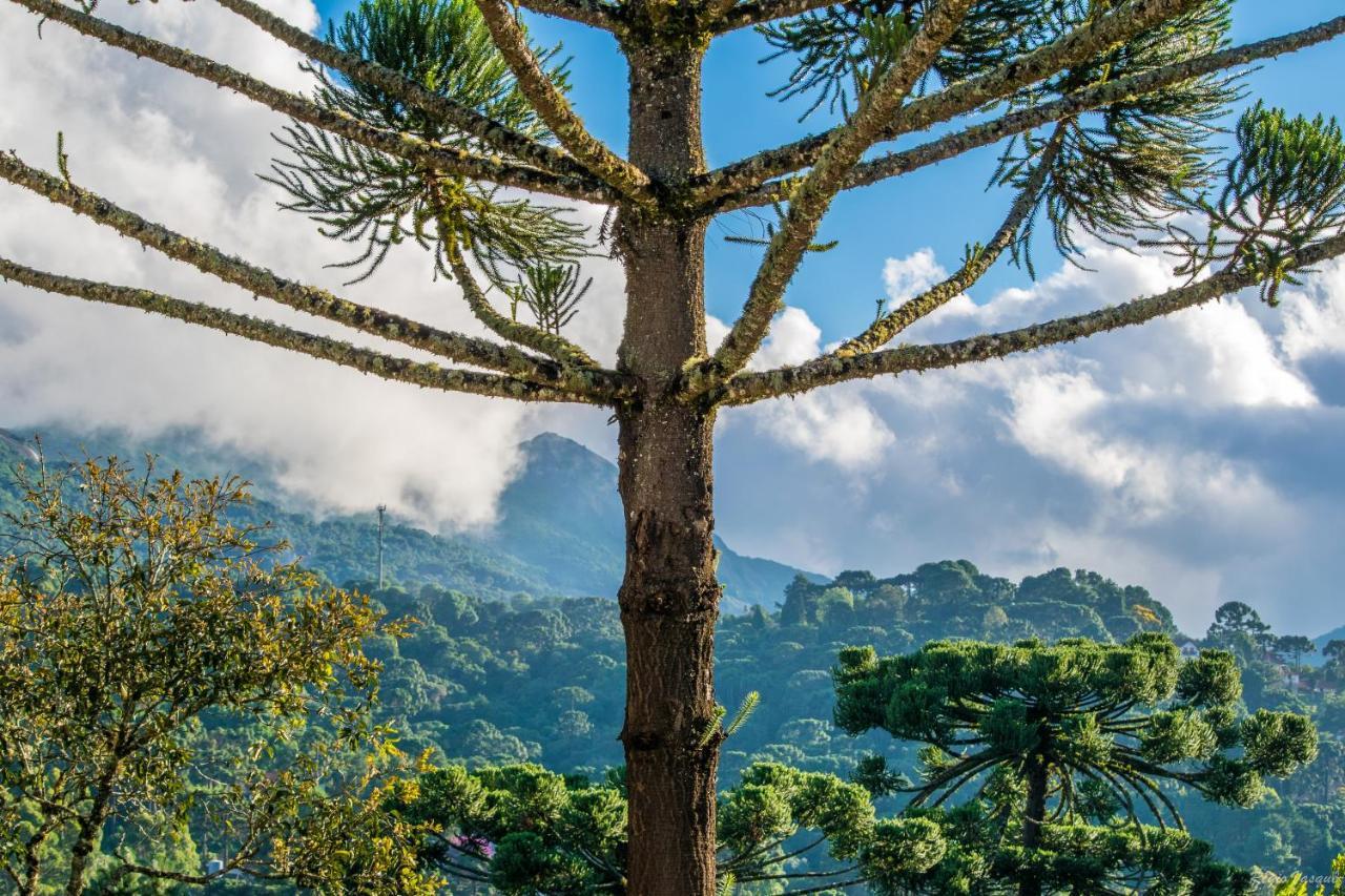 Inn Ricanto Mio Monte Verde (Minas Gerais)