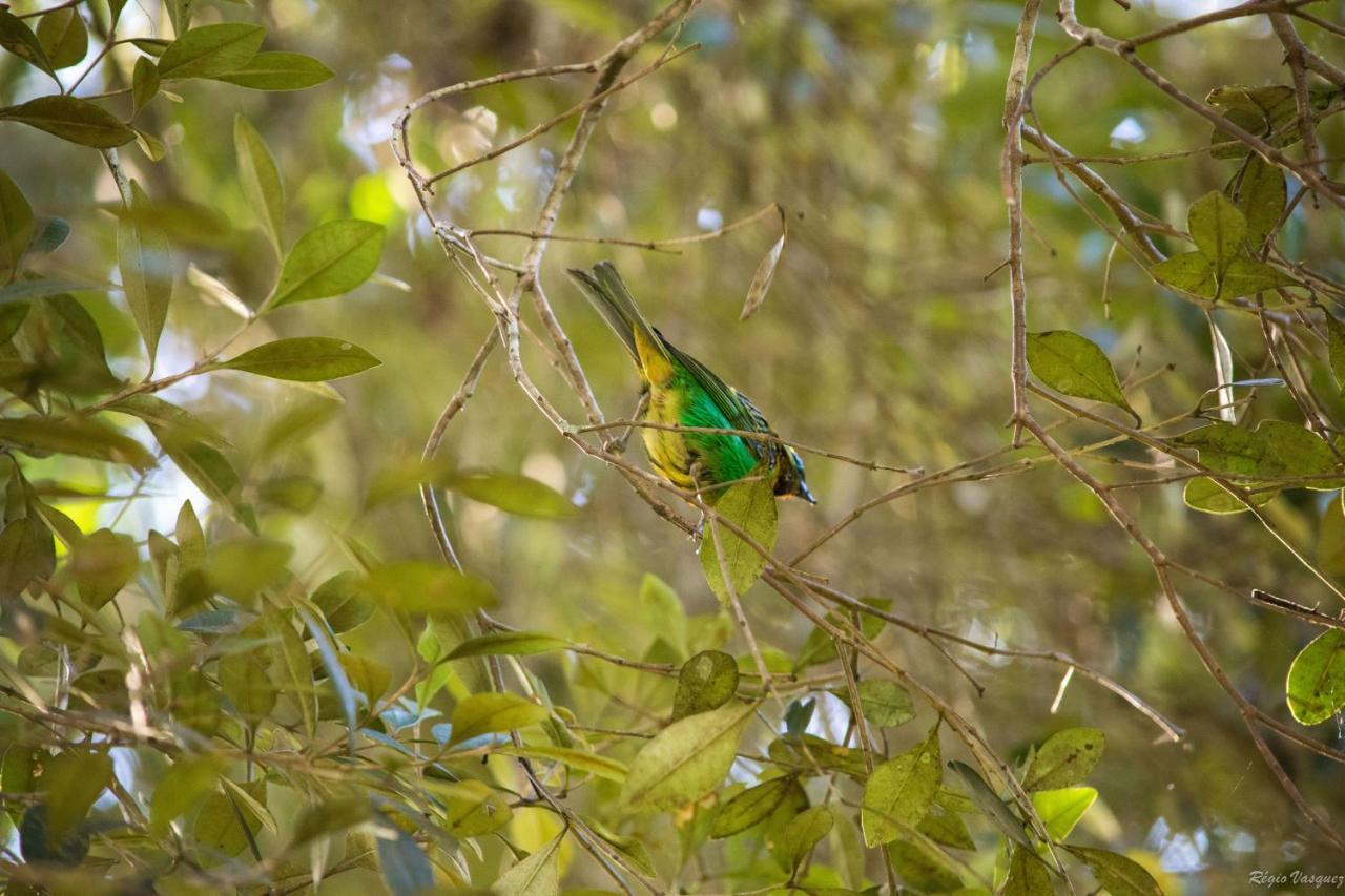 Ricanto Mio Inn Monte Verde (Minas Gerais)